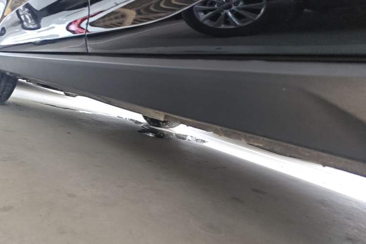 Used Bestune T55 2021 1.5T Automatic Joyful·Prestige Edition Left Side Sill