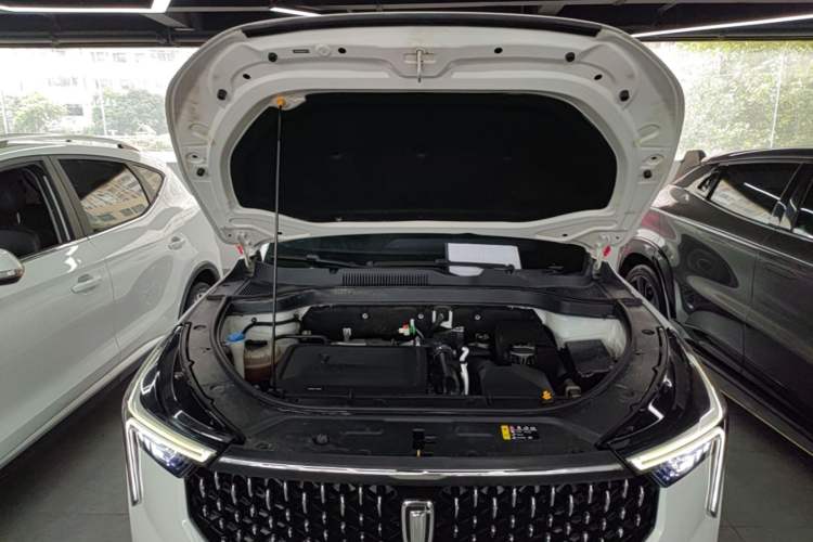 Used Bestune T55 2021 1.5T Automatic Joyful·Prestige Edition Engine Bay