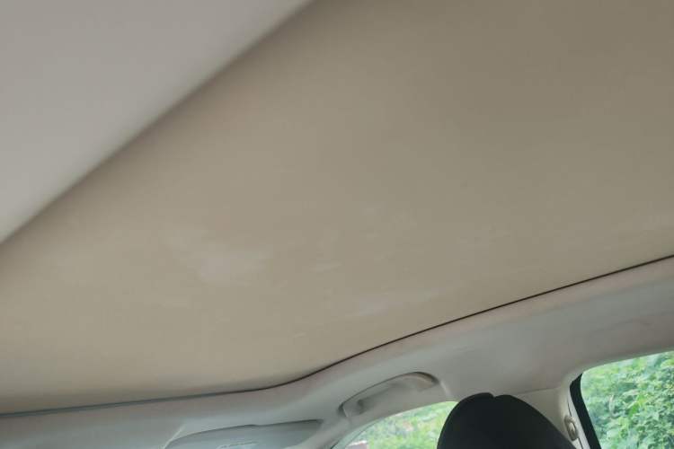 Used Bestune T55 2021 1.5T Automatic Joyful·Prestige Edition Headliner