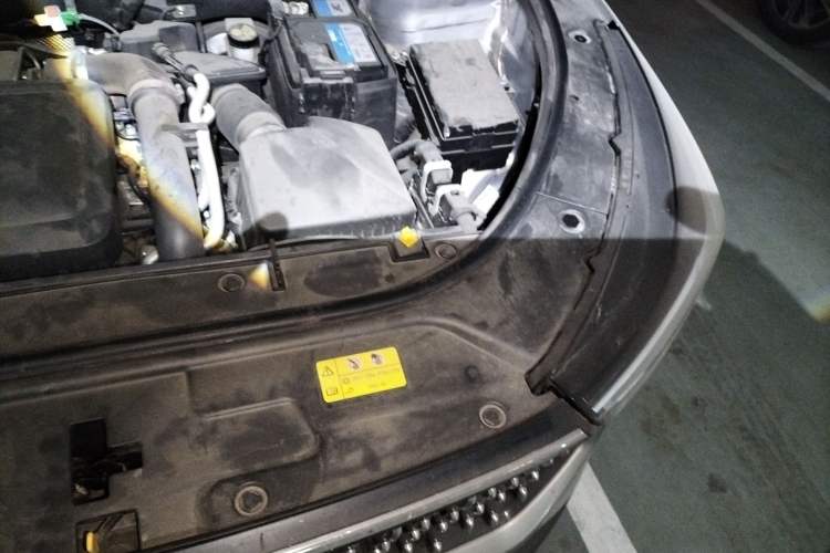 Used Bestune T55 2022 1.5T Automatic Super Leap Edition Engine Bay Left
