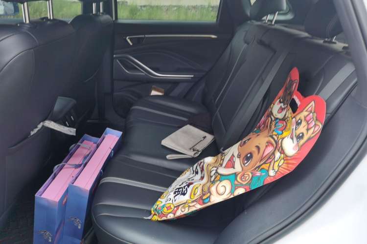 Used Bestune T55 2022 1.5T Automatic ZHUOYUE Model Left Rear Seat