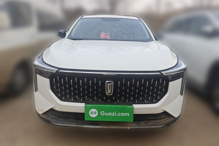 Used Bestune T55 2023 1.5T Automatic Leap Model Front