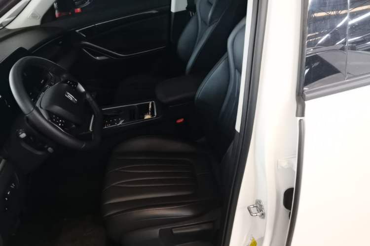 Used Bestune T55 2023 1.5T Automatic Leap Model Left Front Seat