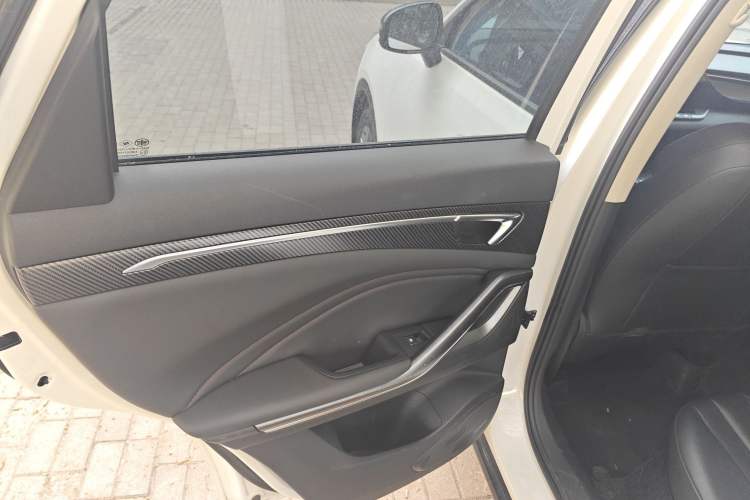 Used Bestune T55 2023 1.5T Automatic Leap Model Left Rear Door Interior