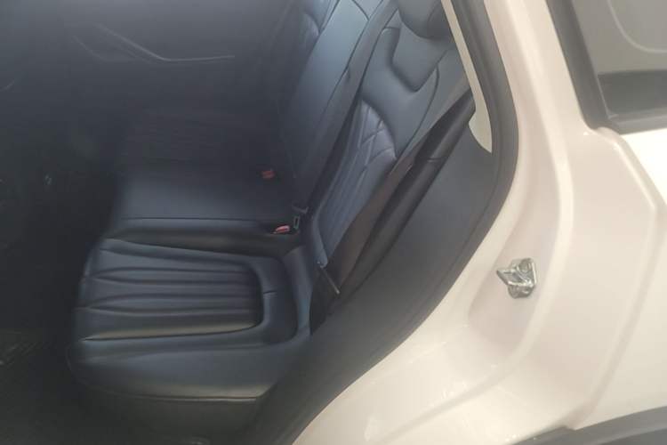 Used Bestune T55 2023 1.5T Automatic Leap Model Left Rear Seat