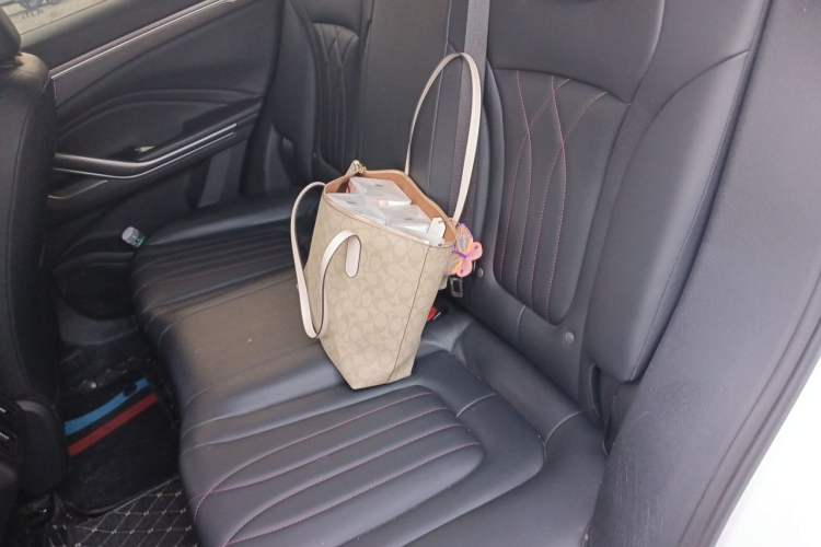 Used Bestune T55 2023 1.5T Automatic Leap Model Left Rear Seat