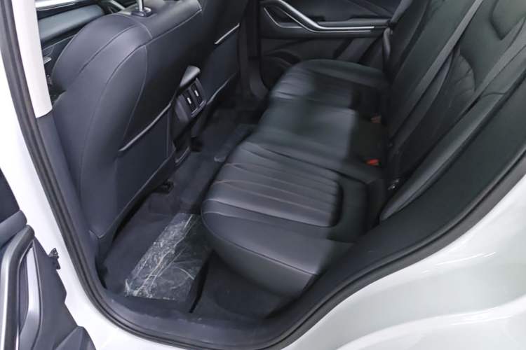 Used Bestune T55 2023 1.5T Automatic Leap Model Left Rear Seat