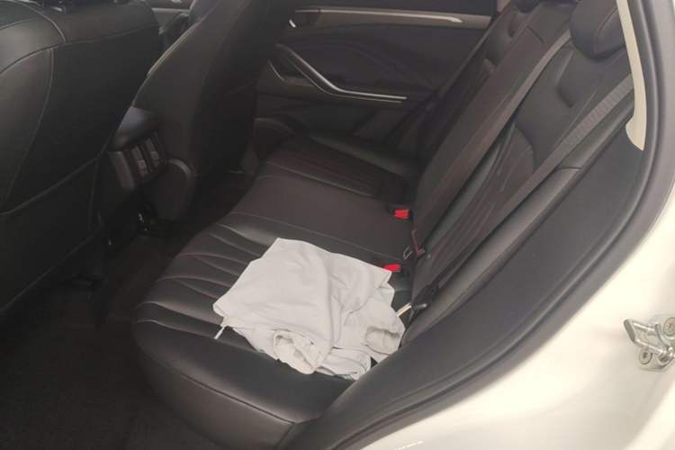 Used Bestune T55 2023 1.5T Automatic Leap Model Left Rear Seat