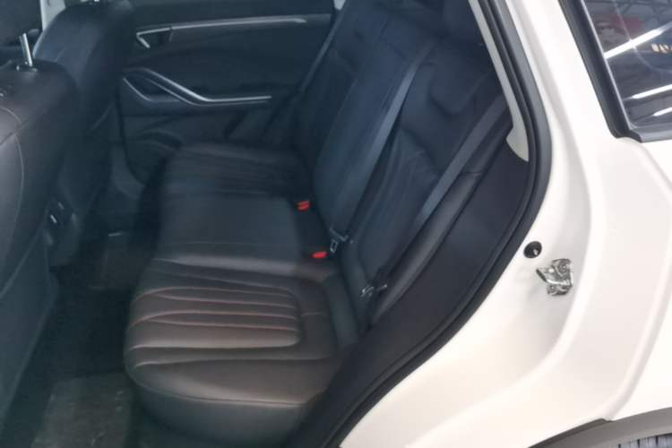 Used Bestune T55 2023 1.5T Automatic Leap Model Left Rear Seat
