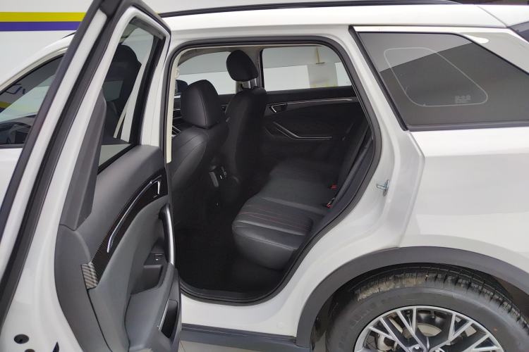 Used Bestune T55 2023 1.5T Automatic Leap Model Left Rear Seat