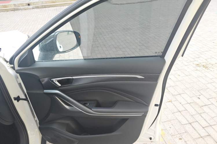 Used Bestune T55 2023 1.5T Automatic Leap Model Right Front Door Interior