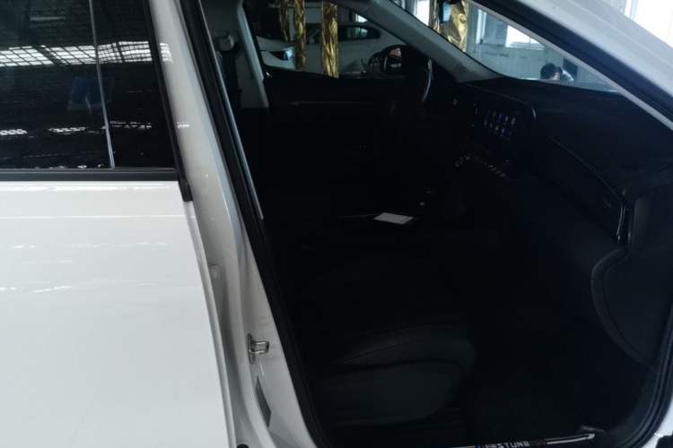 Used Bestune T55 2023 1.5T Automatic Leap Model Right Front Seat