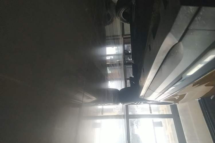 Used Bestune T77 2019 230 TID Automatic Luxury Version China VI Emission Standard Left Side Sill