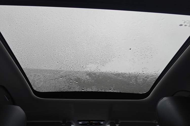 Used Bestune T90 2023 1.5T DCT Automatic Luxury Edition Headliner