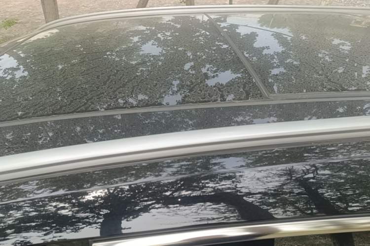 Used Bestune T90 2023 1.5T DCT Automatic Prestige Edition Roof