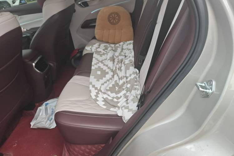 Used Bestune T90 2023 2.0T Automatic Flagship Edition Left Rear Seat