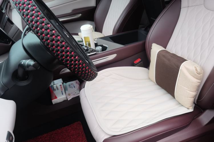 Used Bestune T90 2023 2.0T Automatic Flagship Edition Left Front Seat