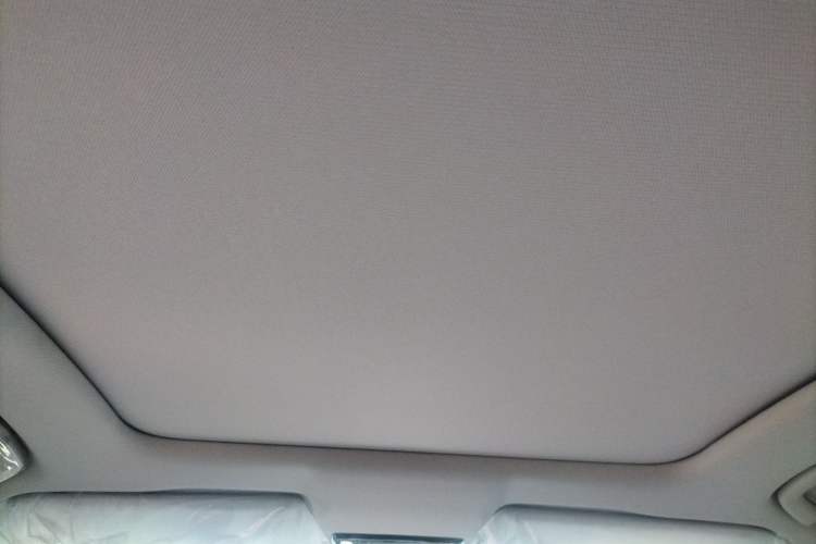 Used Bestune T90 2023 1.5T DCT Automatic Luxury Edition Headliner