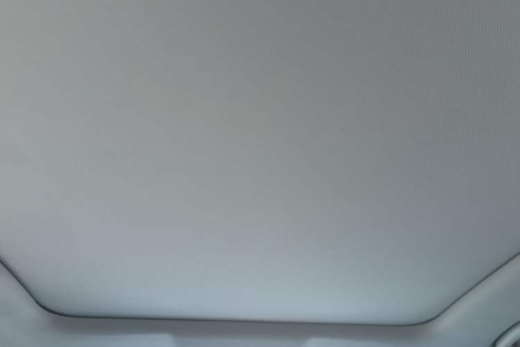 Used Bestune T90 2023 1.5T DCT Automatic Luxury Edition Headliner