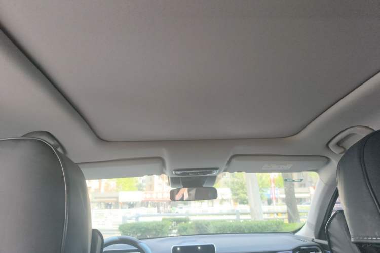 Used Bestune T90 2023 1.5T DCT Automatic Luxury Edition Headliner