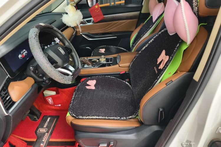 Used Bestune T99 2020 20TD Automatic Premium Edition Left Front Seat