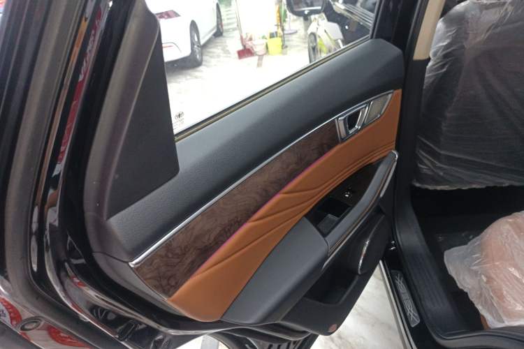 Used Bestune T99 2023 2.0T Automatic Premium (6AT) Left Rear Door Interior
