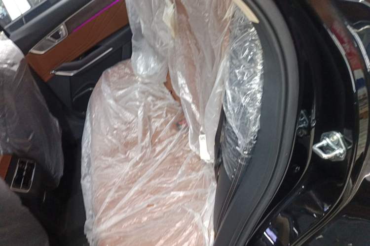Used Bestune T99 2023 2.0T Automatic Premium (6AT) Left Rear Seat