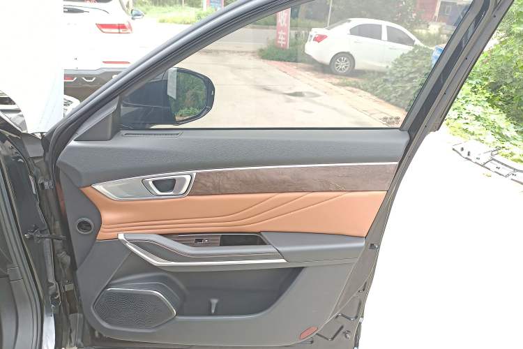 Used Bestune T99 2023 2.0T Automatic Prestige Edition (8AT) Right Front Door Interior