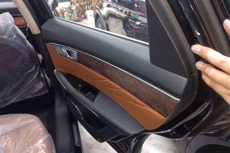 Used Bestune T99 2023 2.0T Automatic Premium (6AT) Right Rear Door Interior