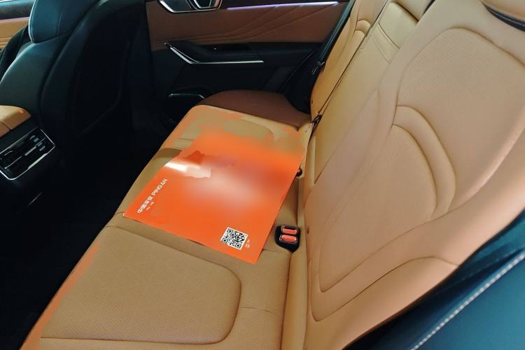 Used Bestune T99 2023 2.0T Automatic Prestige Edition (8AT) Left Rear Seat