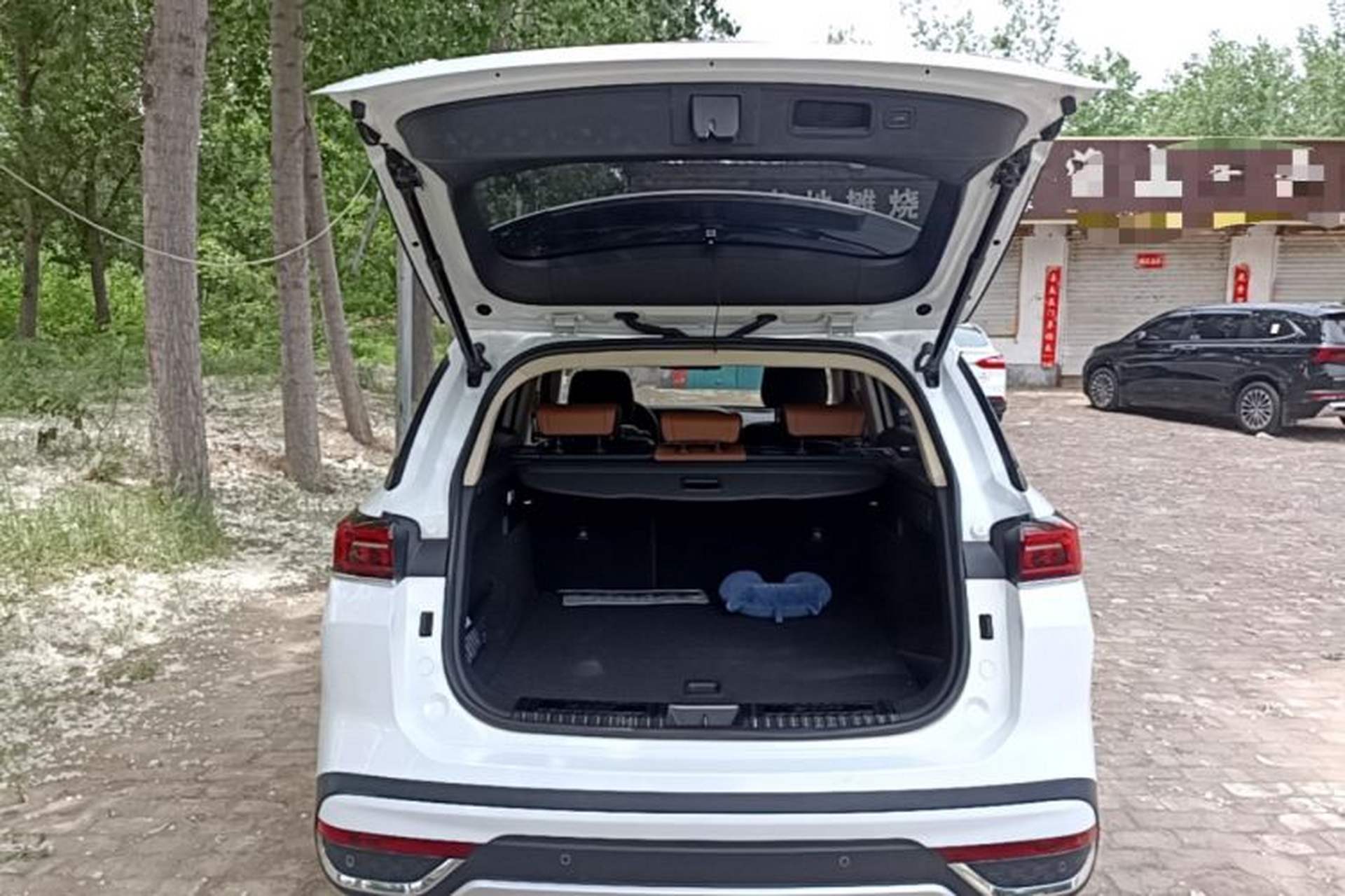 Used Bestune T99 2023 2.0T Automatic Premium (6AT) Trunk