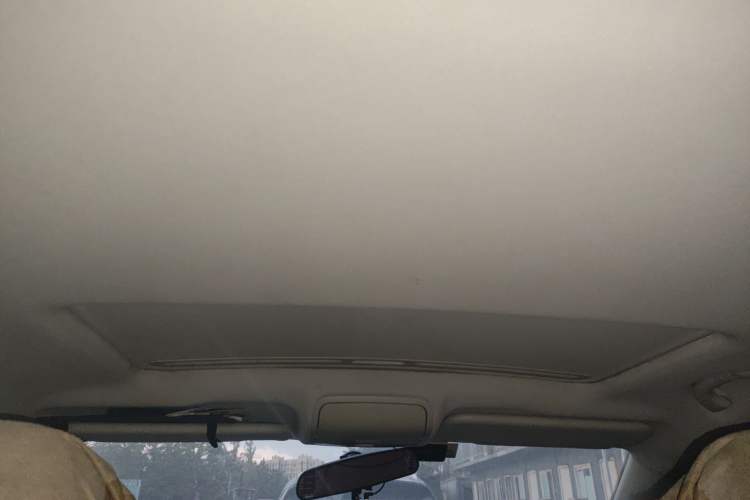 Used Bestune X40 2018 Internet Celebrity Edition 1.6L Manual Luxury Version Headliner