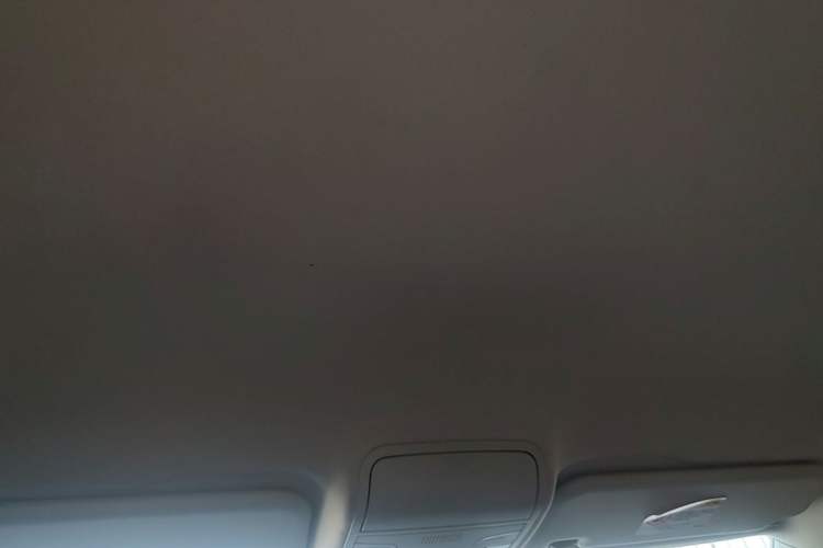 Used Bestune X40 2018 Internet Celebrity Edition 1.6L Manual Comfort Version Headliner