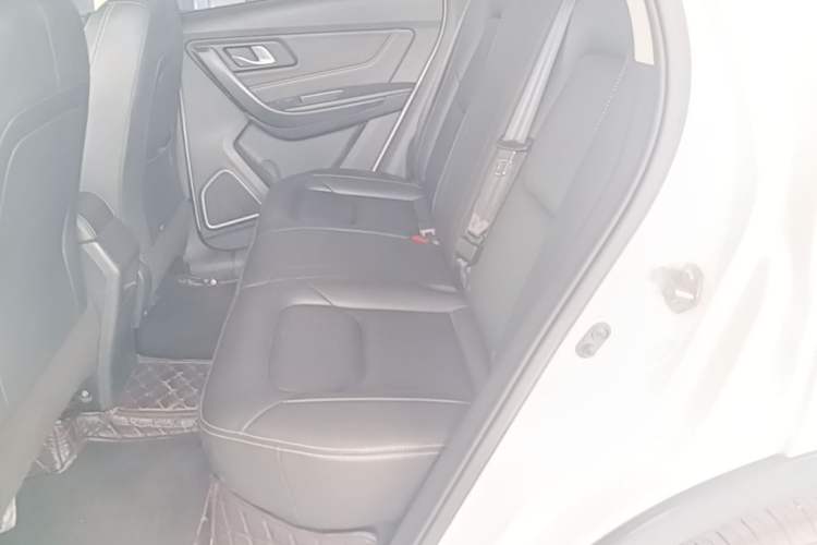 Used Bestune X40 2018 Internet Celebrity Edition 1.6L Automatic Luxury Version Left Rear Seat