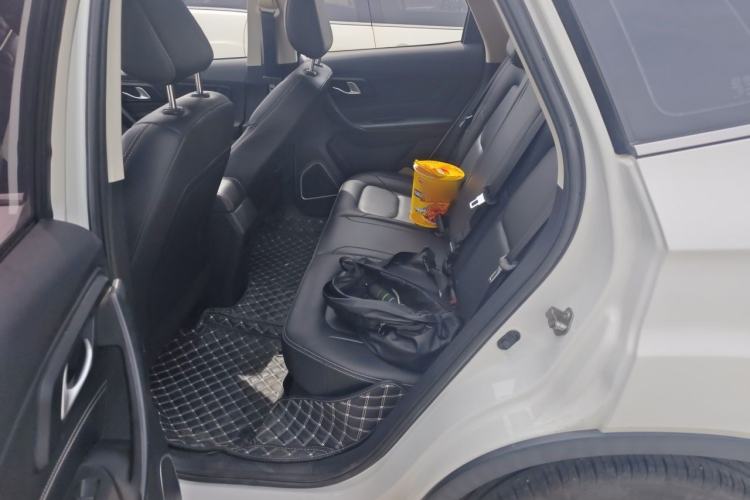 Used Bestune X40 2018 Internet Celebrity Edition 1.6L Manual Luxury Version Left Rear Seat