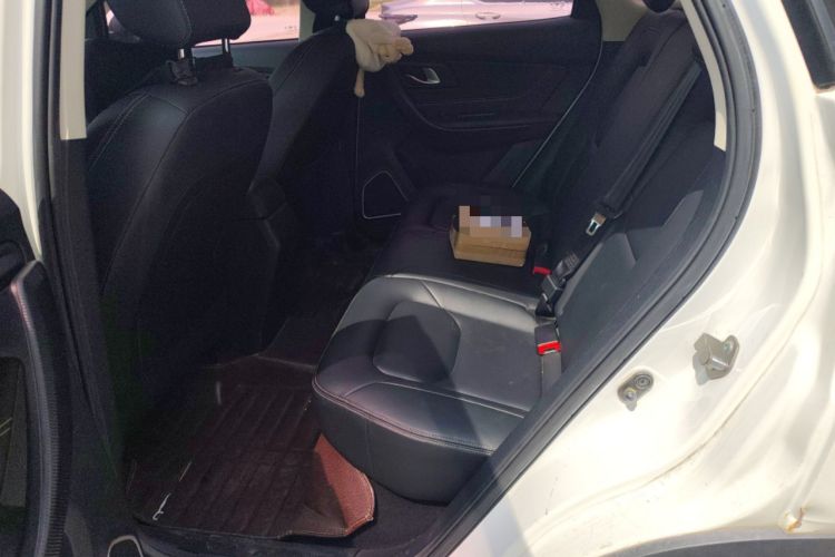 Used Bestune X40 2018 Internet Celebrity Edition 1.6L Automatic Luxury Version Left Rear Seat