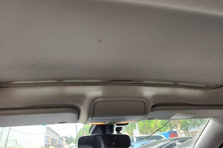 Used Bestune X40 2019 1.6L Manual Luxury Edition China VI Headliner
