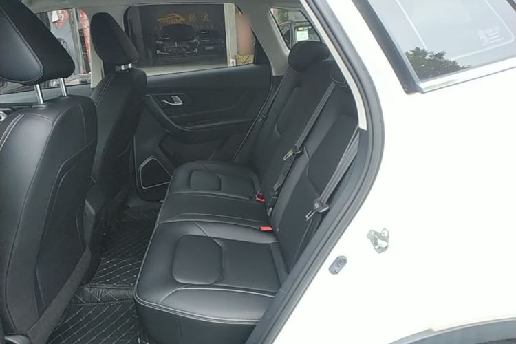 Used Bestune X40 2019 1.6L Automatic Luxury Edition China VI Left Rear Seat