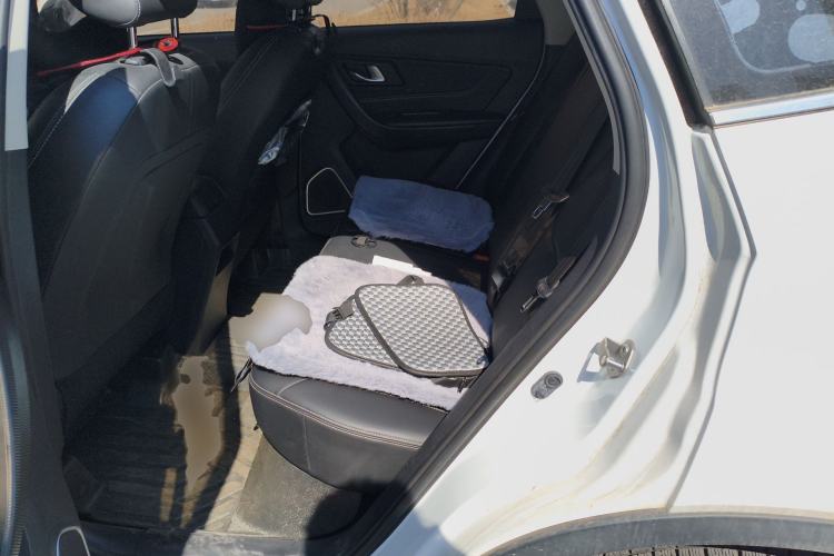 Used Bestune X40 2019 1.6L Automatic Luxury Edition China VI Left Rear Seat