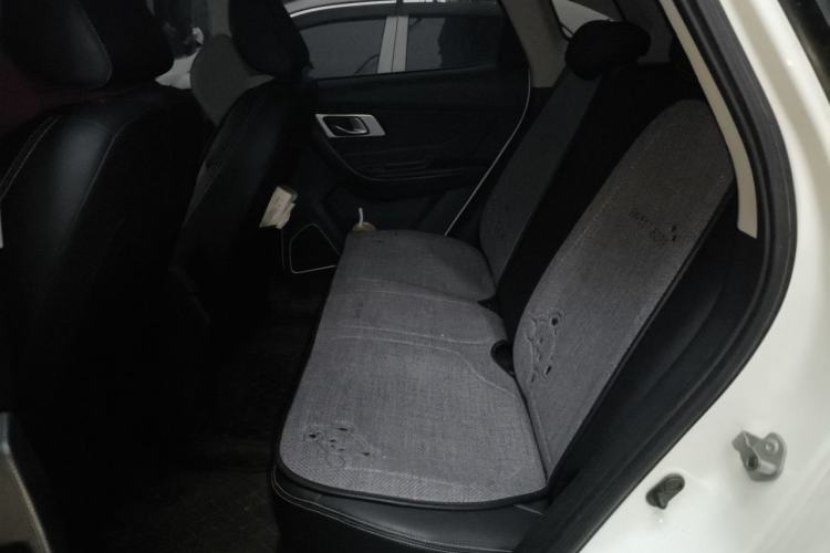 Used Bestune X40 2019 1.6L Automatic Luxury Version China V Emission Standard Left Rear Seat