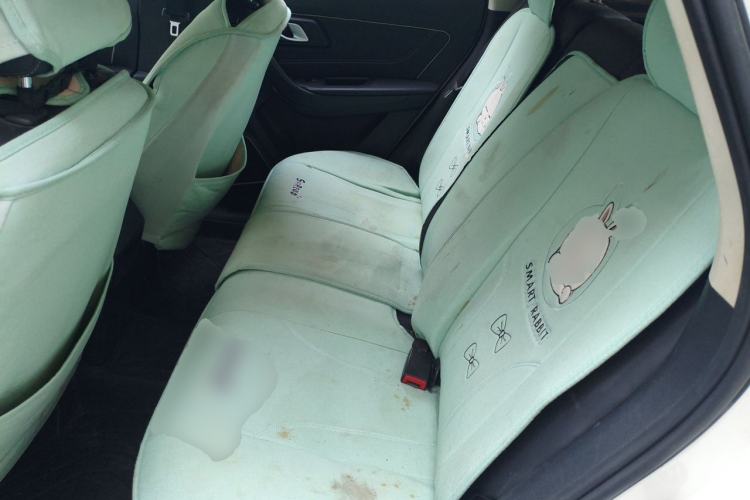 Used Bestune X40 2019 1.6L Automatic Luxury Version China V Emission Standard Left Rear Seat