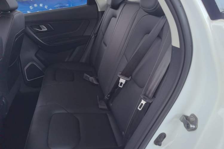 Used Bestune X40 2019 1.6L Automatic Luxury Version China V Emission Standard Left Rear Seat