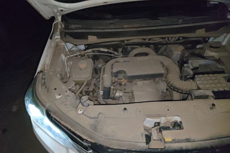 Used Bisu T3 2017 1.3T CVT Luxury Model Engine Bay Right