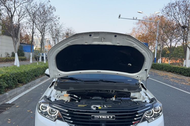 Used Bisu T3 2017 1.3T CVT Flagship Model Engine Bay