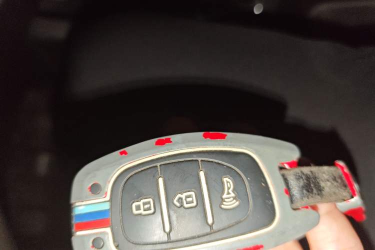 Used Bisu T5 2017 1.5T Manual Luxury Model Vehicle Key