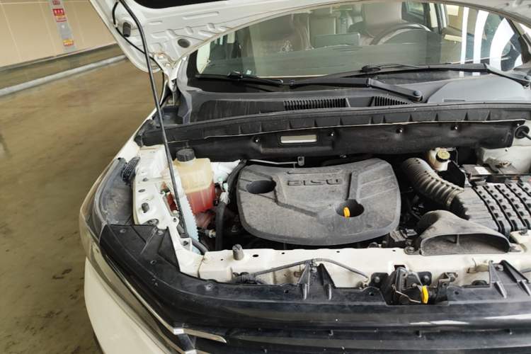 Used Bisu T5 2017 1.5T Automatic Luxury Model Engine Bay Right