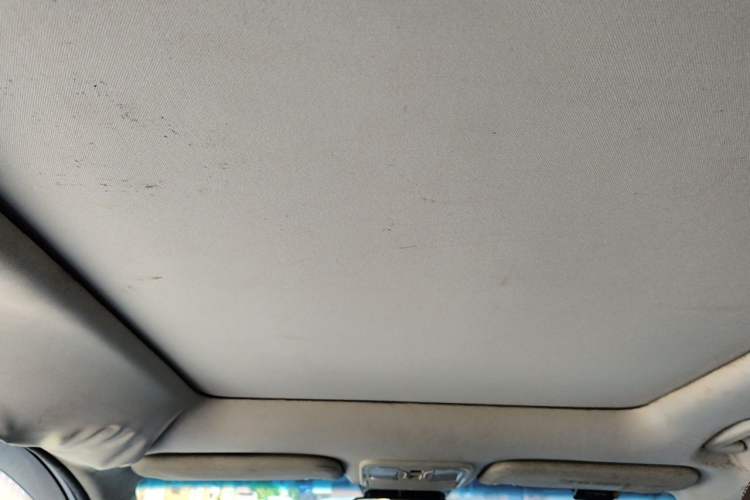 Used Bisu T5 2017 1.5T Manual Luxury Model Headliner