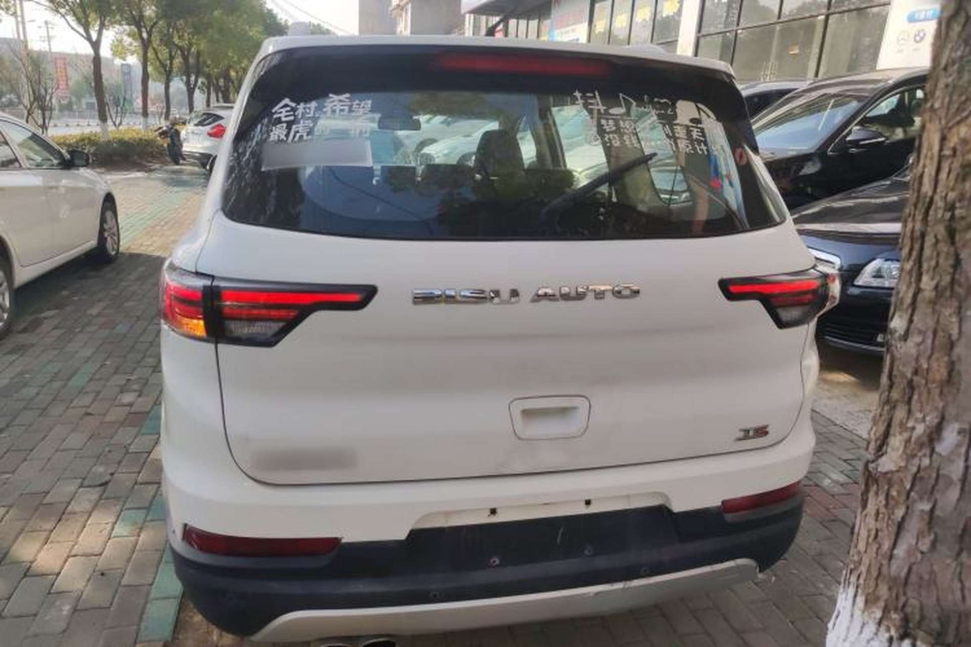Used Bisu T5 2017 1.5T Manual Luxury Model Rear