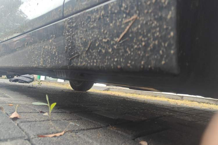 Used BMW 1 Series 2012 116i Leading Model Chassis Front Right