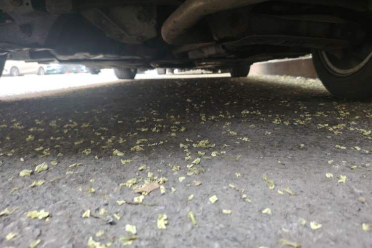 Used BMW 1 Series 2012 116i Leading Model Chassis Rear